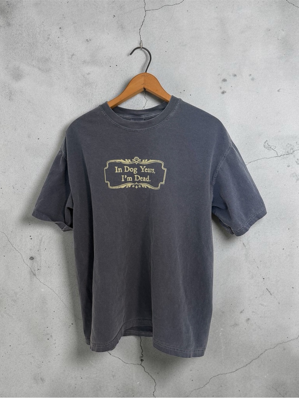 Comfort Colors Faded Charcoal Short Sleeve Tee with Humor Print